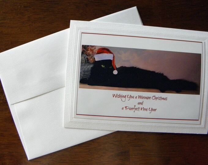 CAT LOVER Christmas Card, created by Pam Ponsart of Pam's Fab Photos; includes coordinating envelope