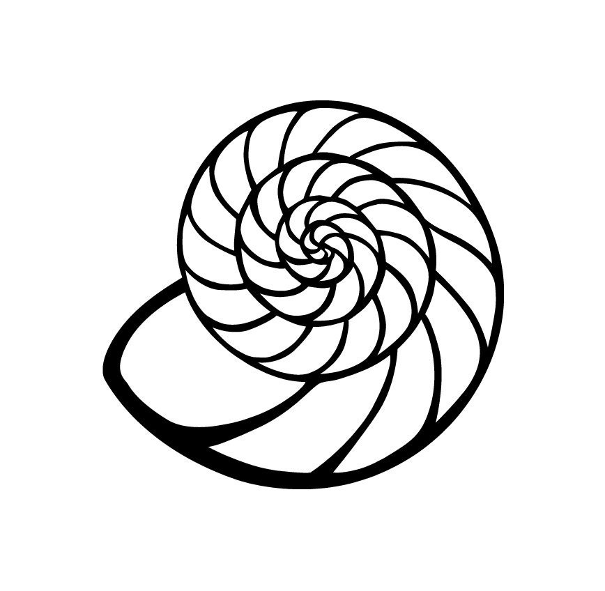 Spiral Seashell Decal Seashell Vinyl Decal Di Cut Decal