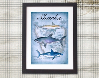 Shark Decor Shark Art Shark Print Shark Art Print Shark Poster Boys Bedroom Decor Gift for Men Great White Shark Antique Map Art Antique Map