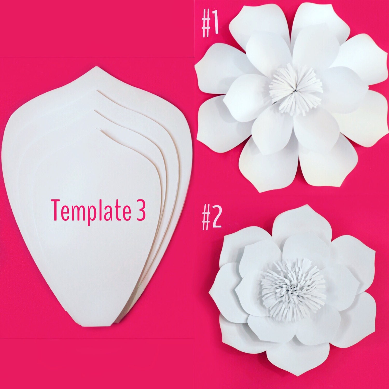 Molde Flor Paper Flower Template Paper Flower Kit Paper Flowers Diy My Xxx Hot Girl