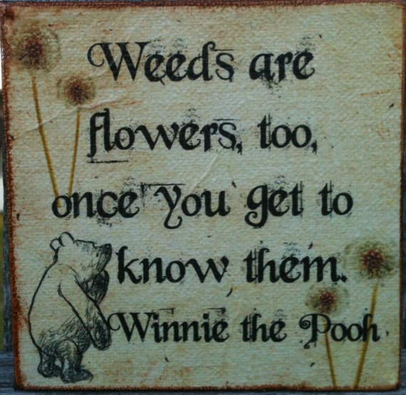 Items similar to Winnie the Pooh Quote - Weeds Are Flowers ...