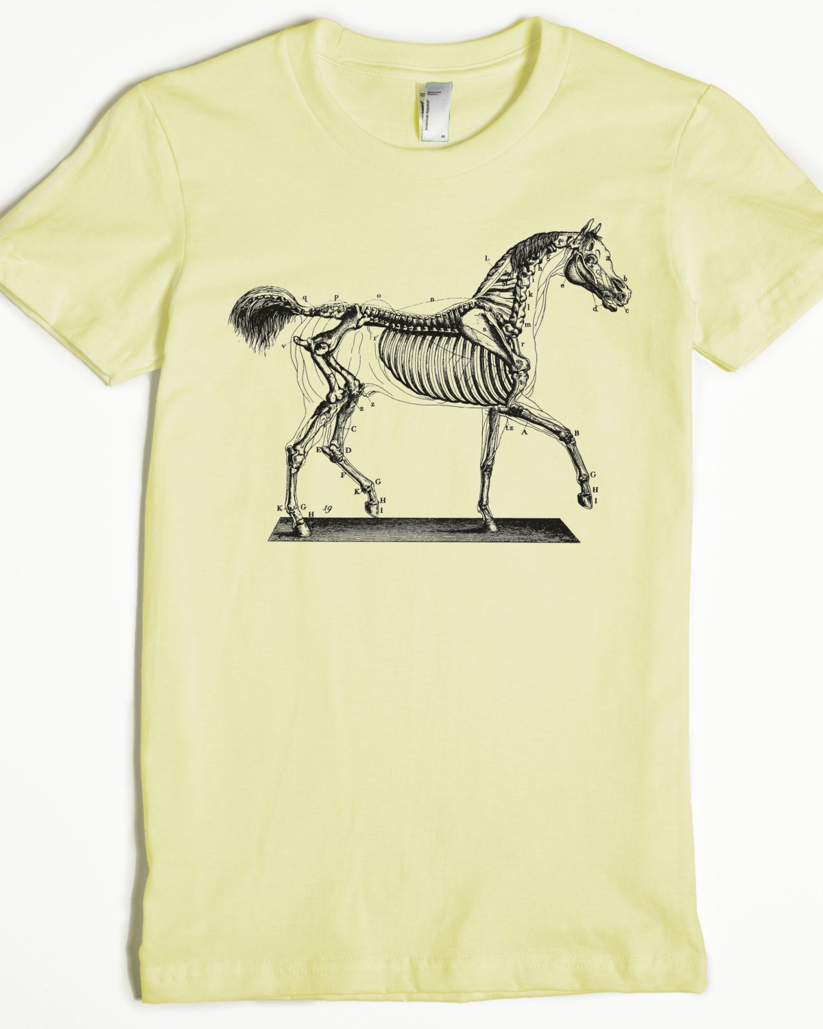 Women's Tshirt Women's Horse Tshirt Horse