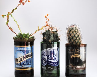Beer Bottle Glasses - Planters (Bottle only)