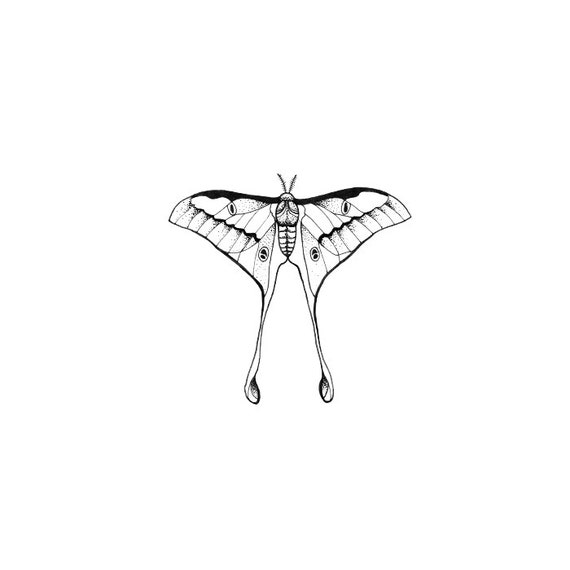 Luna Moth tattoo Pattern Tattoo Temporary Tattoo by ArrowTattoo