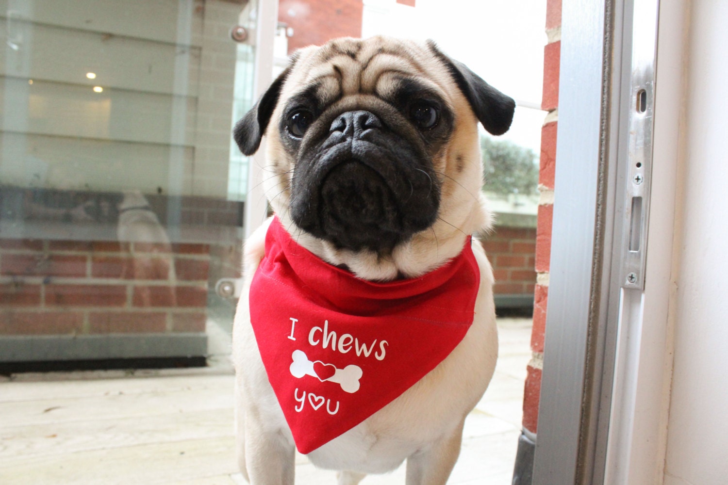 Valentine's Dog Bandana Valentine Dog Valentine Dog by BWPetwear