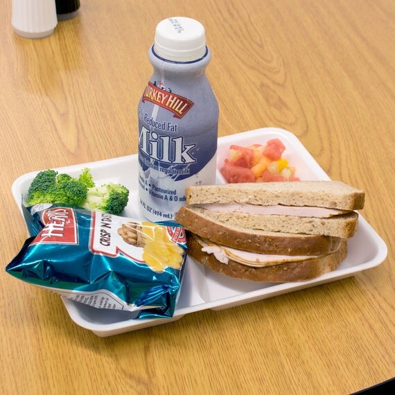 Items similar to School Lunch Tray, Compartment Foam Lunch Tray