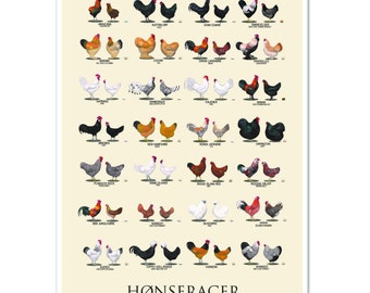 Chicken Breeds Poster