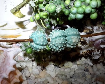 3 matte turquoise blue Sea Urchin Beads from porcelain - by Earth N Elements Pottery