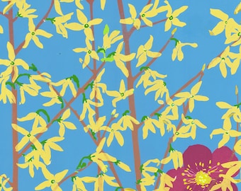 Forsythia and Hellebore - Set of Six Greeting Cards