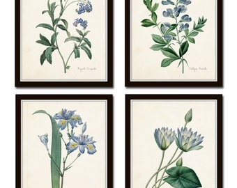 Botanical Print Set, Redoute Botanical Prints, Art Prints, Giclee, Blue Botanical Prints, Illustration, Wall Art,Blue Flower Prints, Collage