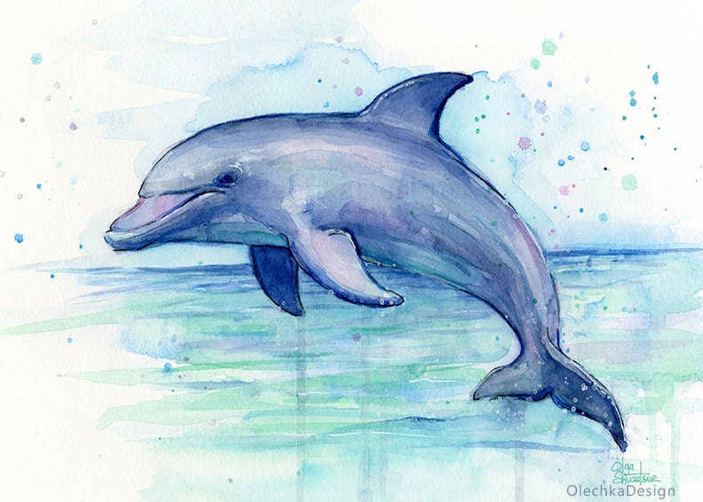 Dolphin Pictures To Print 5