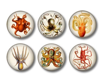 Octopus Art - Fridge Magnets - Sea Life Magnets - 6 Magnets - 1.5 Inch Magnets - Kitchen Magnets