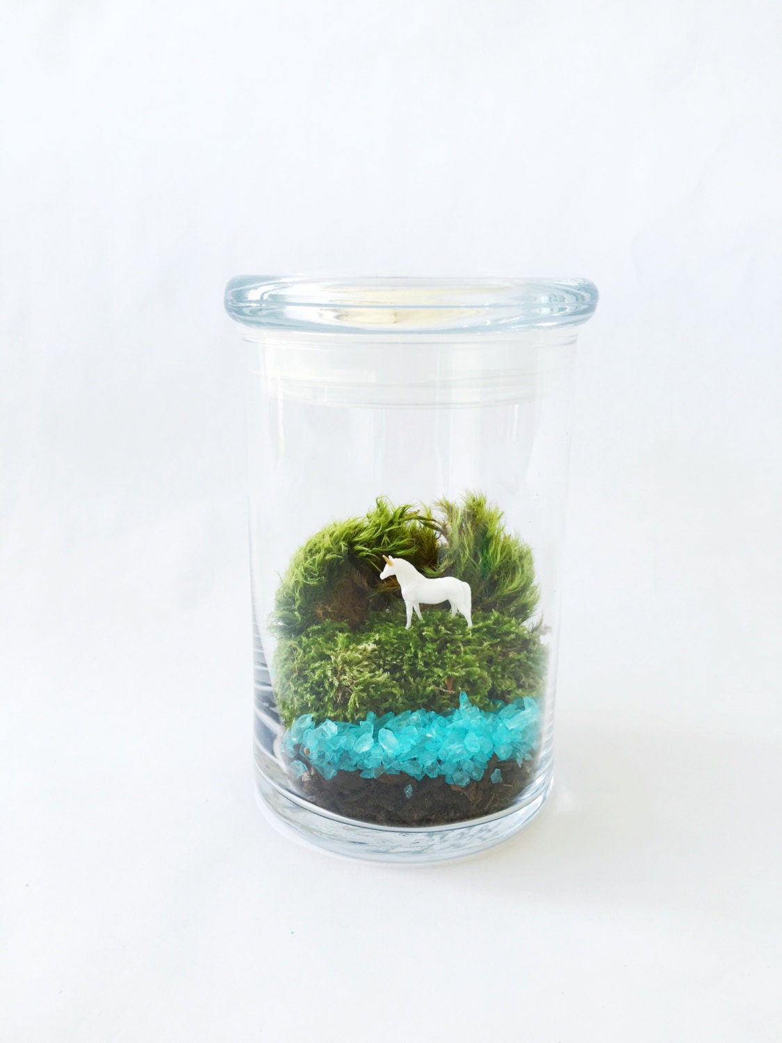 Unicorn Lake Terrarium Jar Terrarium Kit Glass Terrarium