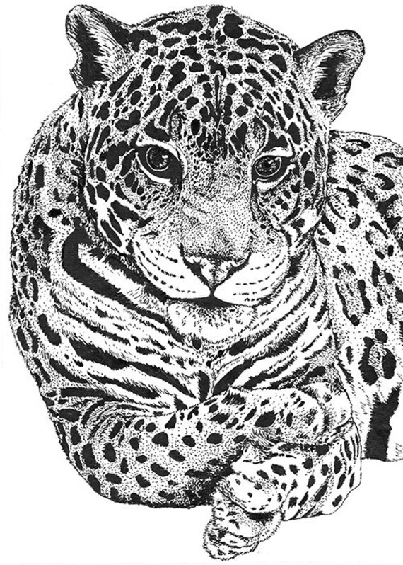 Jaguar Print