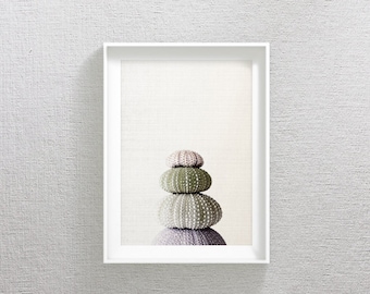 Sea Urchin Shell Print, Marine Wall Art, Sea Urchin Decor For Bathroom, Nautical Print, Sea Urchin Wall Art, Summer Print, Sea Urchin Shell
