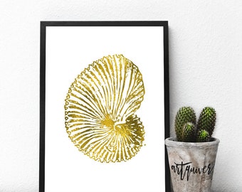 Animal Art, Seashell Art, Prints, Seashell Wall Art, Poster, Trendy Wall Designs, Large Wall Art, Trendy-art, Framed art, framed prints
