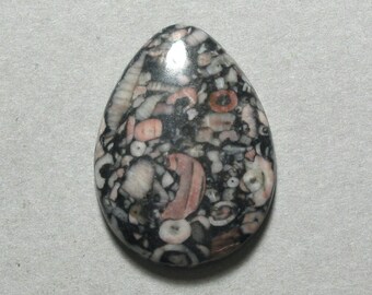 CRINOID FOSSIL agate drop cabochon 22X30mm pear designer cab