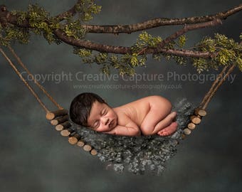 Newborn Digital backdrop / background / log hammock