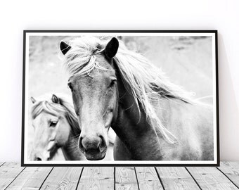 Horse Photography, Wild Horses Print, Gift for Horse Lover, Horse Art, Black and White Photography, Black and White Print, Horse Decor