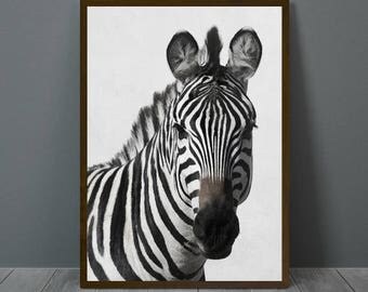 Zebra Print Wall Decor zebra wall decor | etsy Zebra Print Wall Decor zebra wall decor | etsy