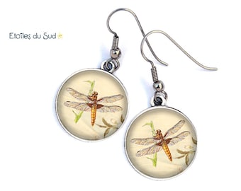 Bijoux d'oreilles libellules vintages , crochets acier chirurgical ,ref.252
