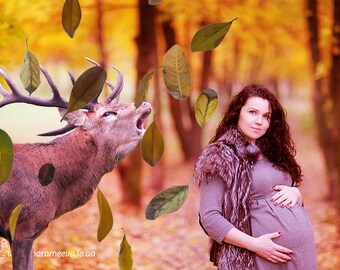 Falling Leaves overlay Autumn overlays Leaf Weather Transparent PNG Fall photo