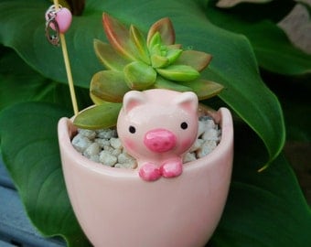Pig succulent planter - ceramic planter mini planter - succulent pot - home decor - office decor gift indoor (FREE charm, pick, succulent)