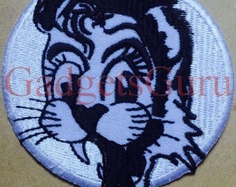 who to call to pick up stray cats who to call to pick up stray cats