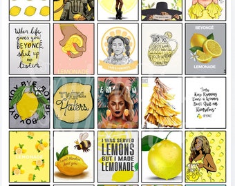 Beyonce Lemonade Planner Stickers, Big Happy Panner, ECLP Horizontal, ECLP Vertical, Happy Planner Classic Size, Mini Happy Planner