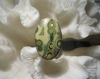 Beautiful Ocean Jasper Ring Size 9