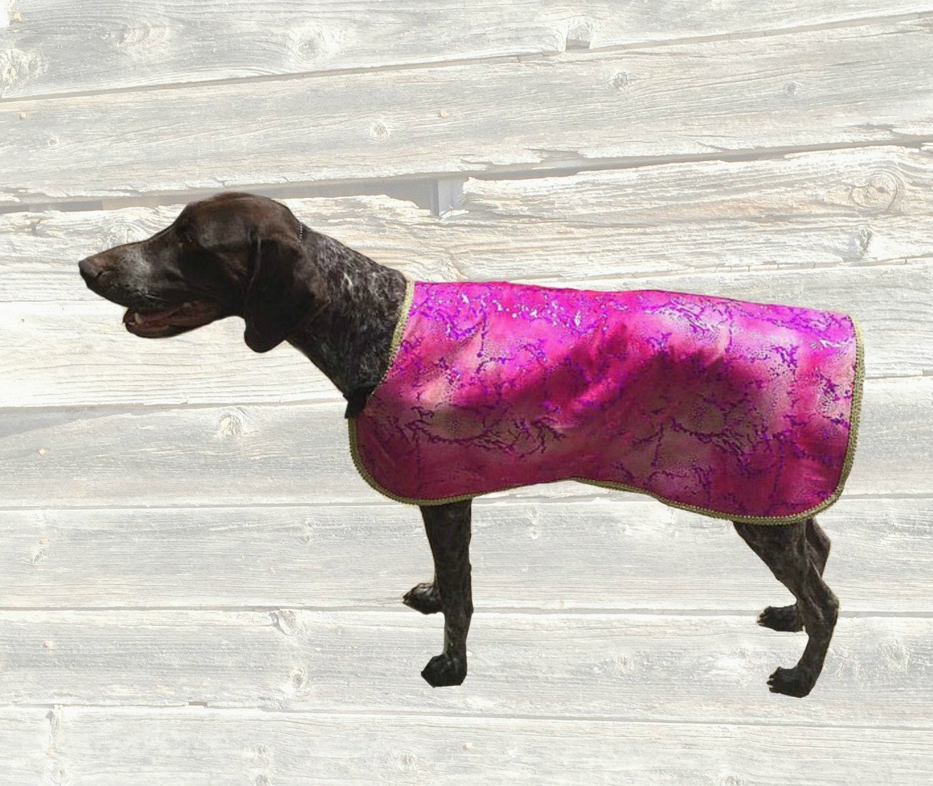 Designer Dog Cool Coat made custom for your dog with fashion