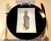 3 x Scented and Edible Vintage Anatomy greeting cards (set 4)