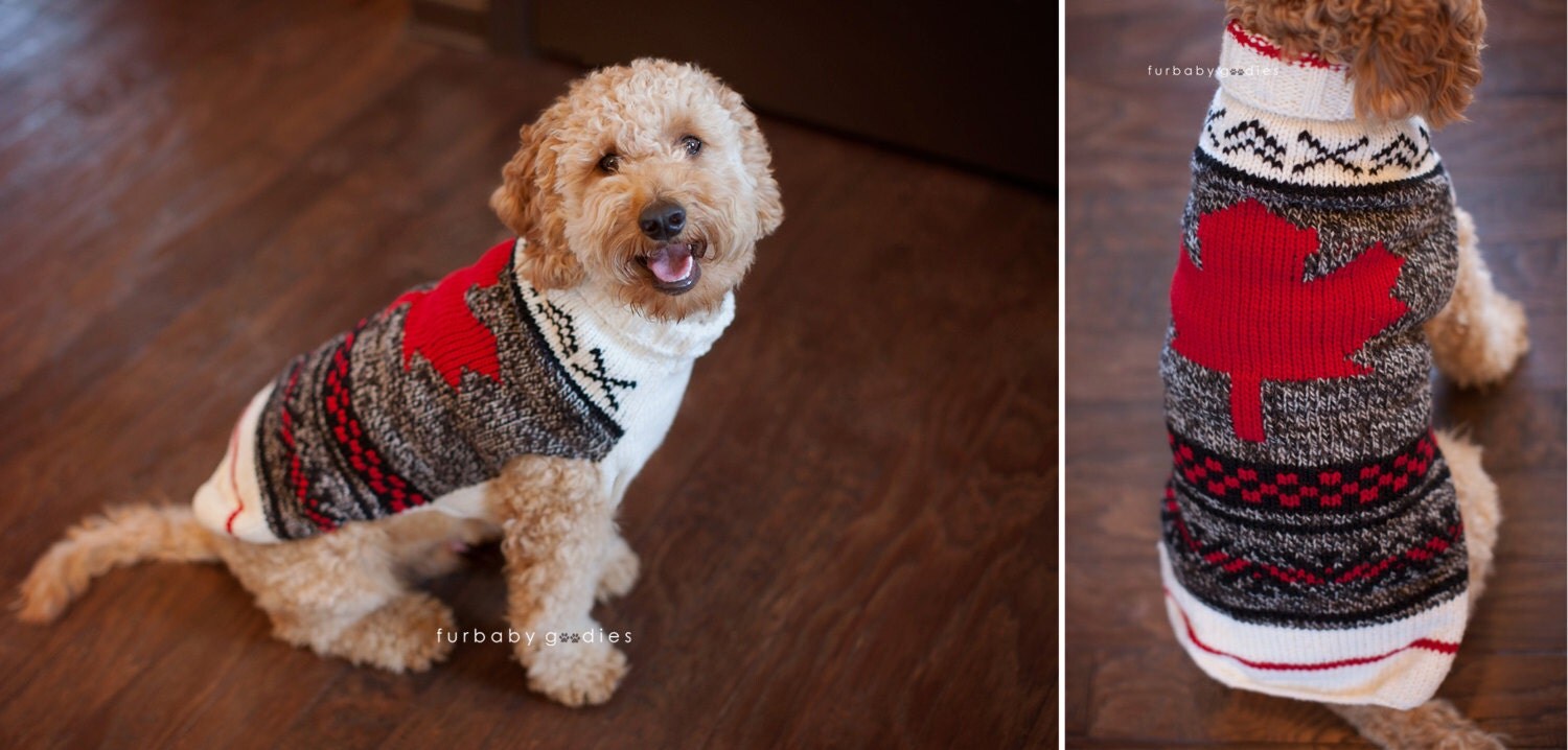 Dog Sweater knit dog sweater designer dog clothing Canada