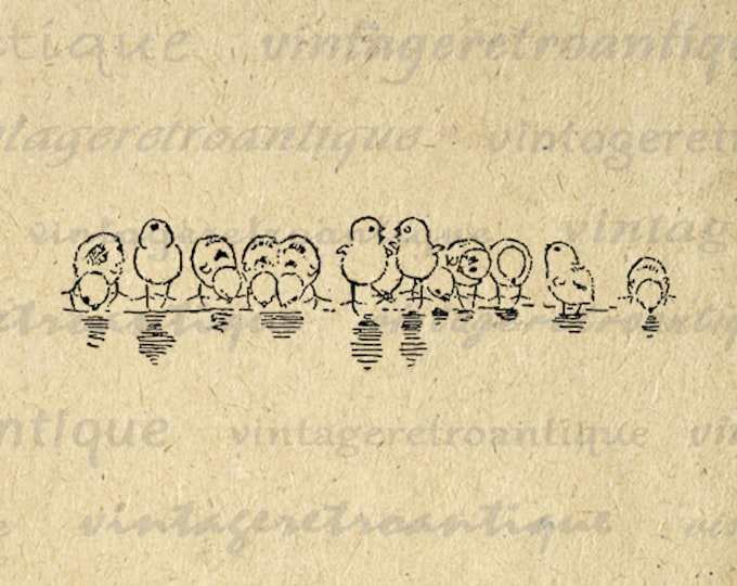 Printable Birds Drinking Digital Download Cute Image Antique Graphic Vintage Clip Art Jpg Png Eps HQ 300dpi No.145