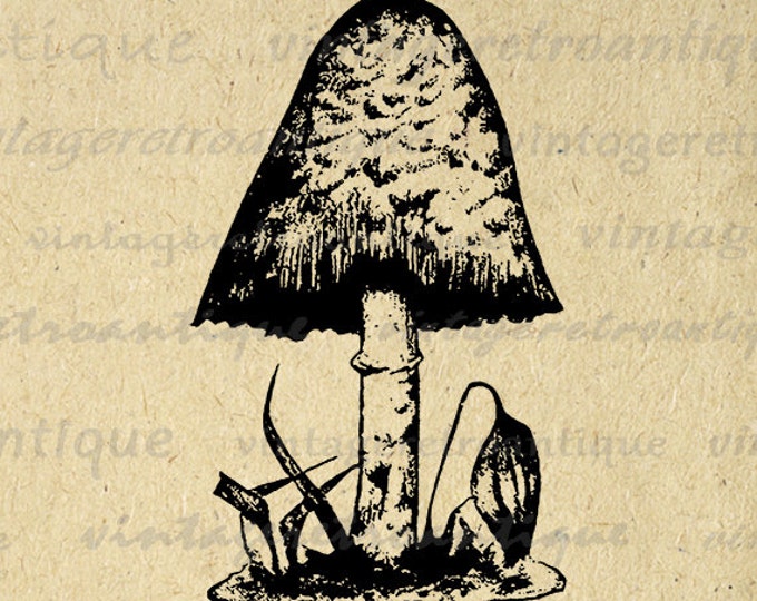 Antique Mushroom Digital Graphic Printable Download Illustration Image Vintage Clip Art Jpg Png Eps HQ 300dpi No.3584