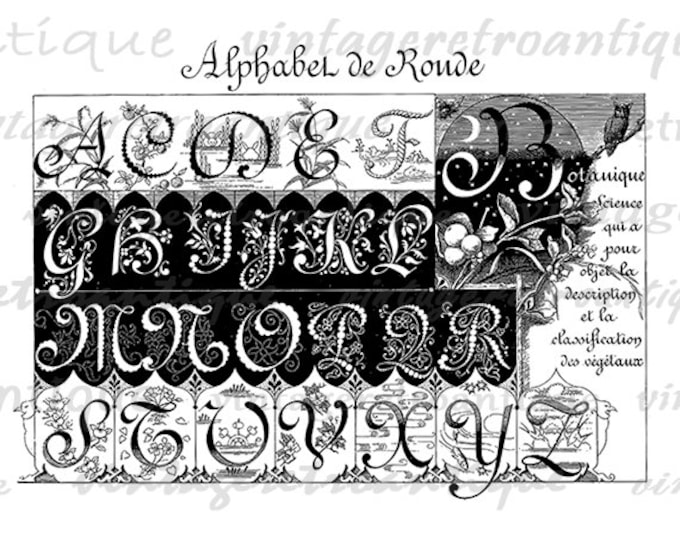 Classic Alphabet Graphic Printable Download Collage Sheet Image Antique Digital Vintage Clip Art Jpg Png Eps HQ 300dpi No.190