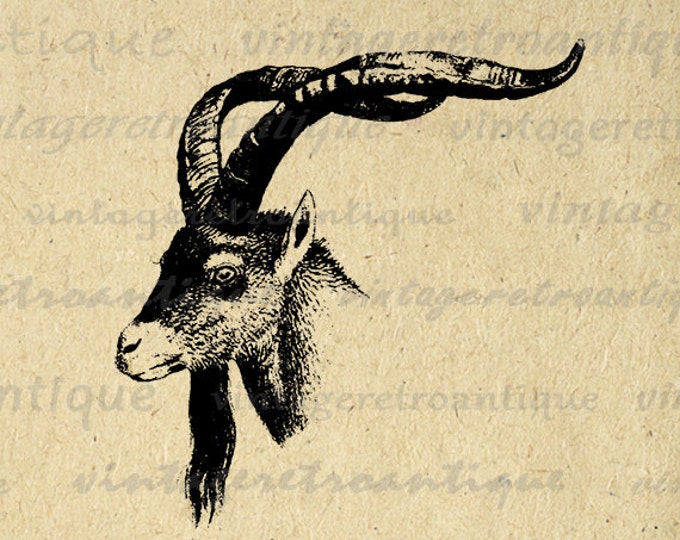 Goat Image Digital Download Animal Ram Printable Illustration Graphic Vintage Clip Art Jpg Png Eps HQ 300dpi No.475