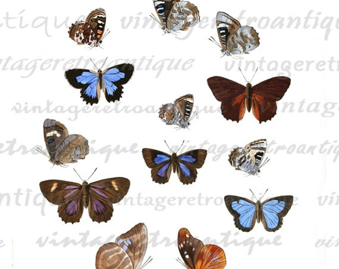 Printable Images Butterflies Color Collage Sheets Digital Graphic Download Antique Clip Art HQ 300dpi No.814