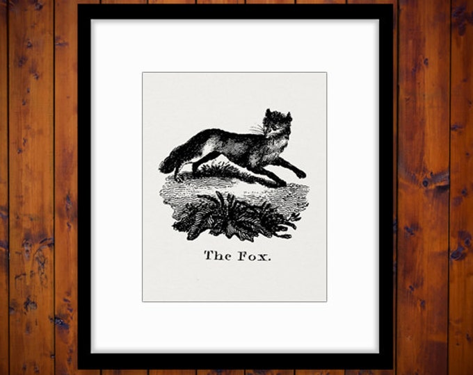 Printable Digital Antique Fox Illustration Graphic Image Animal Download Vintage Clip Art Jpg Png Eps HQ 300dpi No.930