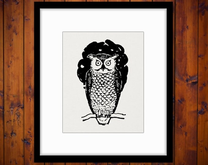 Digital Image Owl Download Bird Illustration Graphic Printable Vintage Clip Art Jpg Png Eps HQ 300dpi No.1669