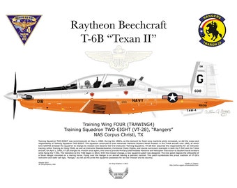 Made in the USA! Raytheon Beechcraft T-6B Texan II