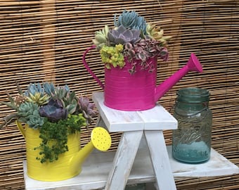 Spring Succulent Arrangement Watering Can Planter Pot Live Plant Centerpiece Mother's Day Basket