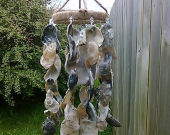 Sea shell wind chime | Etsy