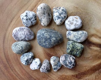 Lot Spotted Stones, Lake Ontario Turtle Stones, Beach Stones with Spots, Orange Purple Green Sea Glass Stones, Pebbles, Rocks ~ st80