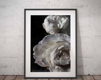 PEONIES FLOWER PRINT 01, printable, minimalist fine art photography, modern wall art