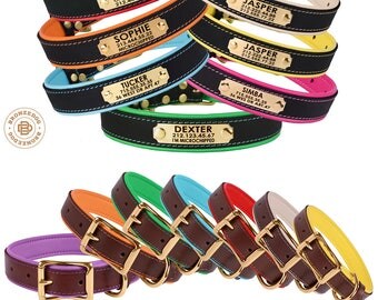 Personalized Dog Collar Leather Custom Engraved Brass Hardware Soft Padded Girl Dog Collar Boy Dog Collar