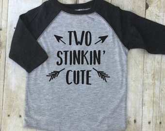 Boys Second Birthday Shirt-Two Birthday Shirt-Two Cute Shirt-2 Birthday Shirt-Boys Raglan Shirt-Second Birthday Raglan