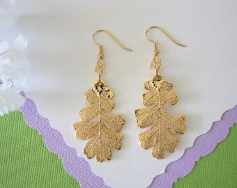 Gold Oak Leaf Earrings, Lacey Oak Leaf, Real Leaf Earrings , Oak Leaf, 24kt Gold, Nature, LESM167