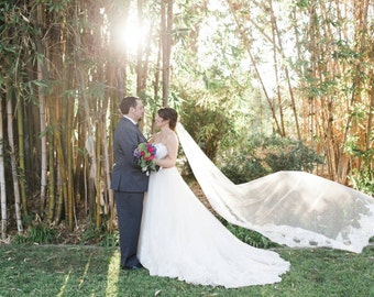 Gorgeous Lace Veil