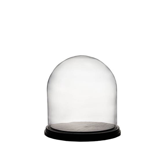 CYS Glass Cloche Dome with Black Wood Base. H11 Cloche